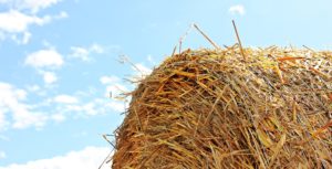 Cover photo for Hay Donation Website