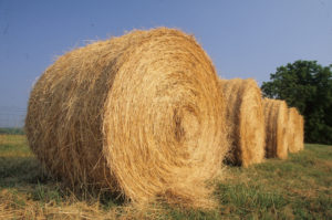 Round Hay Bales