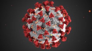 Illustration of coronaviruses created by the CDC