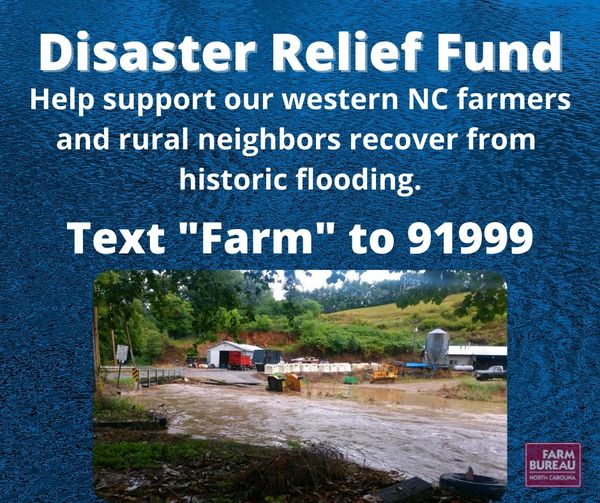 Help support western North Carolina farmers and communities through the NC Farm Bureau Foundation Disaster Relief Fund by texting "Farm" to 91999.